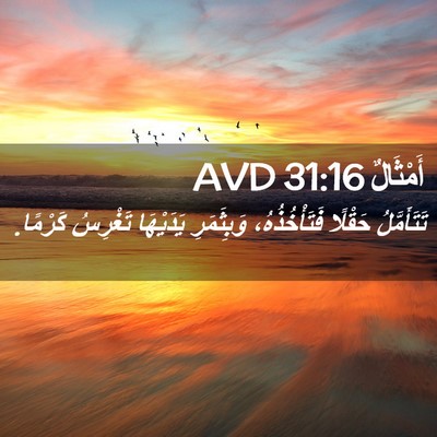 Picture 02 - أَمْثَالٌ 31:16 AVD - تَتَأَمَّلُ حَقْلًا - Bible Verse Picture