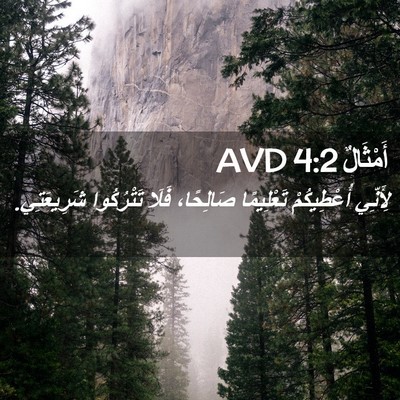 Picture 02 - أَمْثَالٌ 4:2 AVD - لِأَنِّي أُعْطِيكُمْ - Bible Verse Picture