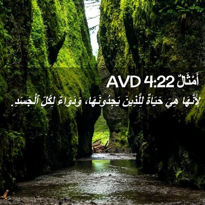 Picture 02 - أَمْثَالٌ 4:22 AVD - لِأَنَّهَا هِيَ حَيَاةٌ - Bible Verse Picture