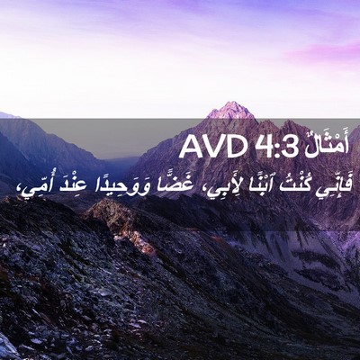 Picture 02 - أَمْثَالٌ 4:3 AVD - فَإِنِّي كُنْتُ ٱبْنًا - Bible Verse Picture