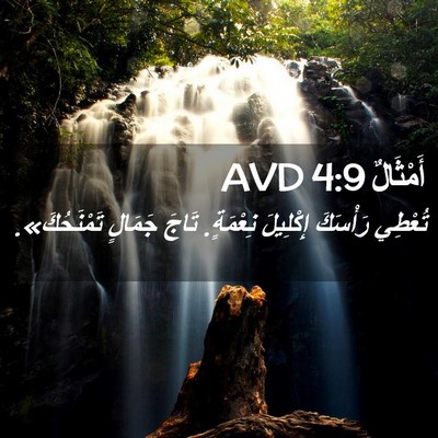 Picture 02 - أَمْثَالٌ 4:9 AVD - تُعْطِي رَأْسَكَ - Bible Verse Picture