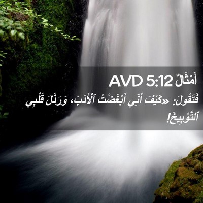 Picture 02 - أَمْثَالٌ 5:12 AVD - فَتَقُولَ: «كَيْفَ أَنِّي - Bible Verse Picture