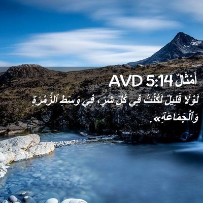 Picture 02 - أَمْثَالٌ 5:14 AVD - لَوْلَا قَلِيلٌ لَكُنْتُ - Bible Verse Picture