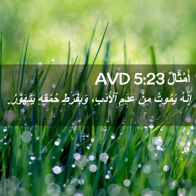 Picture 02 - أَمْثَالٌ 5:23 AVD - إِنَّهُ يَمُوتُ مِنْ - Bible Verse Picture