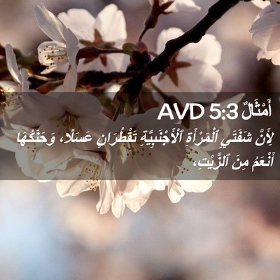 Picture 02 - أَمْثَالٌ 5:3 AVD - لِأَنَّ شَفَتَيِ - Bible Verse Picture