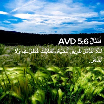 Picture 02 - أَمْثَالٌ 5:6 AVD - لِئَلَّا تَتَأَمَّلَ - Bible Verse Picture