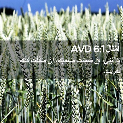 Picture 02 - أَمْثَالٌ 6:1 AVD - يَا ٱبْنِي، إِنْ ضَمِنْتَ - Bible Verse Picture