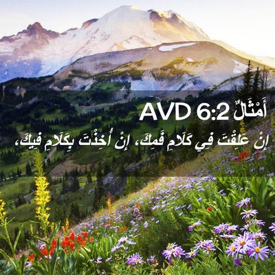 Picture 02 - أَمْثَالٌ 6:2 AVD - إِنْ عَلِقْتَ فِي كَلَامِ - Bible Verse Picture