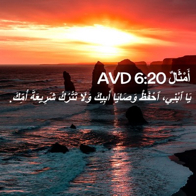 Picture 02 - أَمْثَالٌ 6:20 AVD - يَا ٱبْنِي، ٱحْفَظْ - Bible Verse Picture