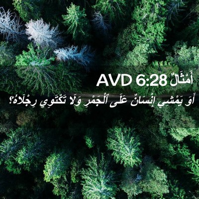Picture 02 - أَمْثَالٌ 6:28 AVD - أَوَ يَمْشِي إِنْسَانٌ - Bible Verse Picture