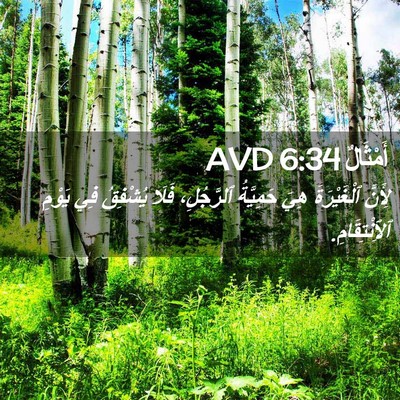 Picture 02 - أَمْثَالٌ 6:34 AVD - لِأَنَّ ٱلْغَيْرَةَ هِيَ - Bible Verse Picture