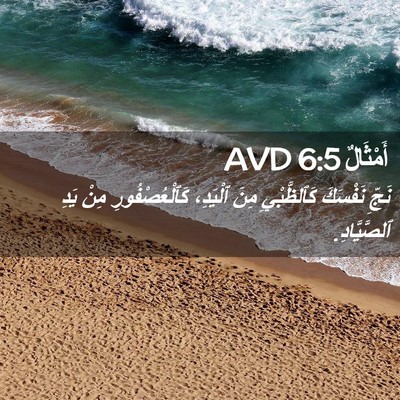 Picture 02 - أَمْثَالٌ 6:5 AVD - نَجِّ نَفْسَكَ - Bible Verse Picture