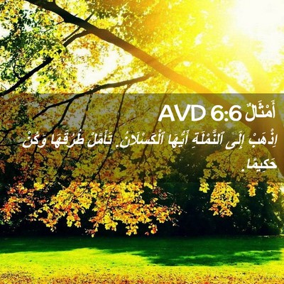 Picture 02 - أَمْثَالٌ 6:6 AVD - اِذْهَبْ إِلَى - Bible Verse Picture