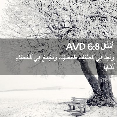 Picture 02 - أَمْثَالٌ 6:8 AVD - وَتُعِدُّ فِي ٱلصَّيْفِ - Bible Verse Picture