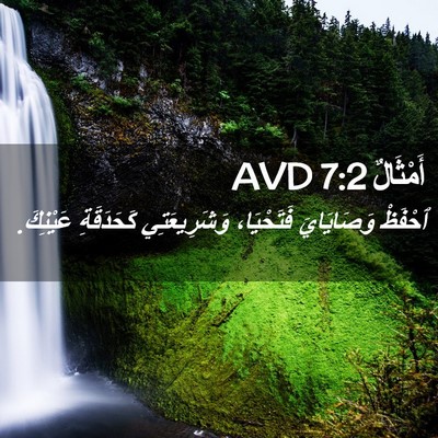 Picture 02 - أَمْثَالٌ 7:2 AVD - ٱحْفَظْ وَصَايَايَ - Bible Verse Picture