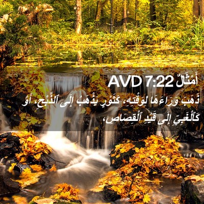 Picture 02 - أَمْثَالٌ 7:22 AVD - ذَهَبَ وَرَاءَهَا - Bible Verse Picture
