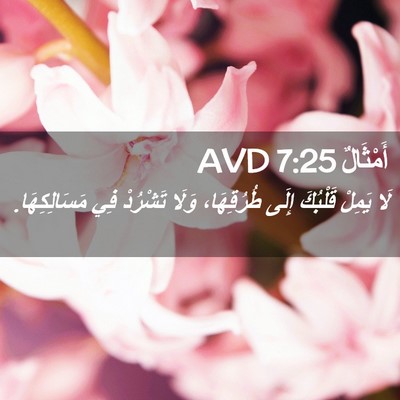 Picture 02 - أَمْثَالٌ 7:25 AVD - لَا يَمِلْ قَلْبُكَ إِلَى - Bible Verse Picture