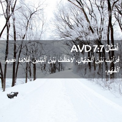 Picture 02 - أَمْثَالٌ 7:7 AVD - فَرَأَيْتُ بَيْنَ - Bible Verse Picture