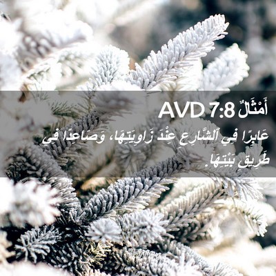 Picture 02 - أَمْثَالٌ 7:8 AVD - عَابِرًا فِي ٱلشَّارِعِ - Bible Verse Picture