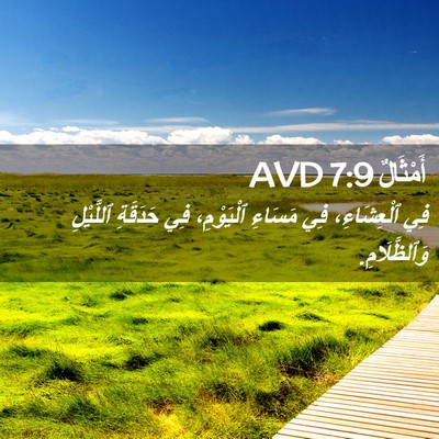 Picture 02 - أَمْثَالٌ 7:9 AVD - فِي ٱلْعِشَاءِ، فِي - Bible Verse Picture