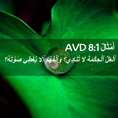 Picture 02 - أَمْثَالٌ 8:1 AVD - أَلَعَلَّ ٱلْحِكْمَةَ لَا - Bible Verse Picture