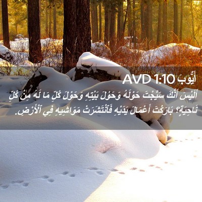 Picture 02 - أَيُّوبَ 1:10 AVD - أَلَيْسَ أَنَّكَ - Bible Verse Picture