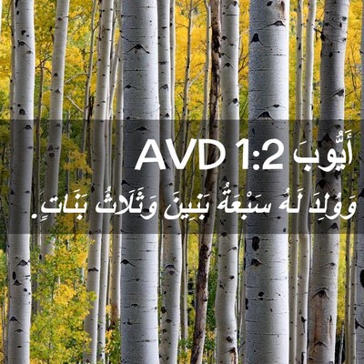 Picture 02 - أَيُّوبَ 1:2 AVD - وَوُلِدَ لَهُ سَبْعَةُ - Bible Verse Picture