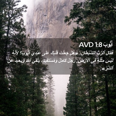 Picture 02 - أَيُّوبَ 1:8 AVD - فَقَالَ ٱلرَّبُّ - Bible Verse Picture