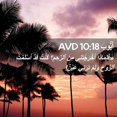 Picture 02 - أَيُّوبَ 10:18 AVD - «فَلِمَاذَا أَخْرَجْتَنِي - Bible Verse Picture