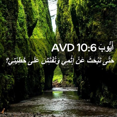 Picture 02 - أَيُّوبَ 10:6 AVD - حَتَّى تَبْحَثَ عَنْ - Bible Verse Picture