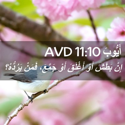 Picture 02 - أَيُّوبَ 11:10 AVD - إِنْ بَطَشَ أَوْ أَغْلَقَ - Bible Verse Picture