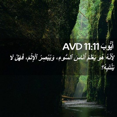 Picture 02 - أَيُّوبَ 11:11 AVD - لِأَنَّهُ هُوَ يَعْلَمُ - Bible Verse Picture