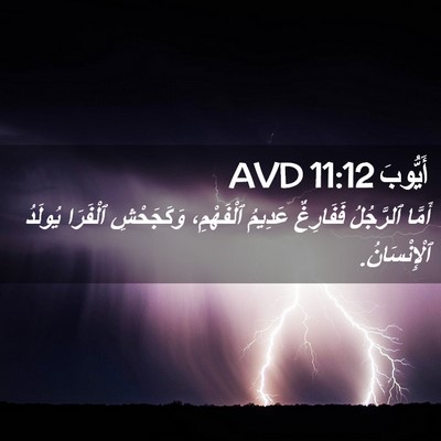 Picture 02 - أَيُّوبَ 11:12 AVD - أَمَّا ٱلرَّجُلُ - Bible Verse Picture
