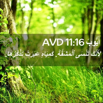 Picture 02 - أَيُّوبَ 11:16 AVD - لِأَنَّكَ تَنْسَى - Bible Verse Picture