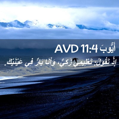 Picture 02 - أَيُّوبَ 11:4 AVD - إِذْ تَقُولُ: تَعْلِيمِي - Bible Verse Picture
