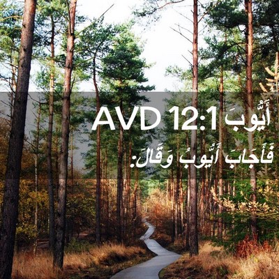 Picture 02 - أَيُّوبَ 12:1 AVD - فَأَجَابَ أَيُّوبُ - Bible Verse Picture