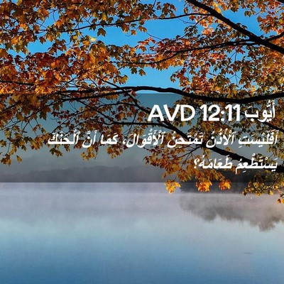Picture 02 - أَيُّوبَ 12:11 AVD - أَفَلَيْسَتِ ٱلْأُذُنُ - Bible Verse Picture