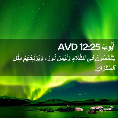 Picture 02 - أَيُّوبَ 12:25 AVD - يَتَلَمَّسُونَ فِي - Bible Verse Picture