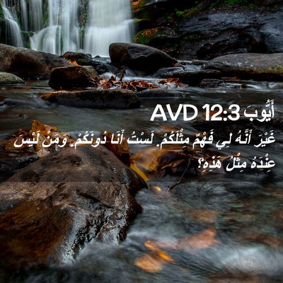 Picture 02 - أَيُّوبَ 12:3 AVD - غَيْرَ أَنَّهُ لِي فَهْمٌ - Bible Verse Picture