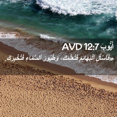 Picture 02 - أَيُّوبَ 12:7 AVD - «فَٱسْأَلِ ٱلْبَهَائِمَ - Bible Verse Picture