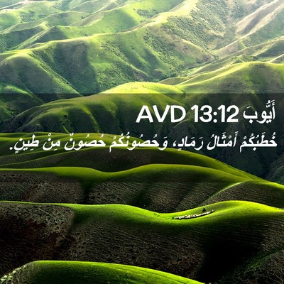Picture 02 - أَيُّوبَ 13:12 AVD - خُطَبُكُمْ أَمْثَالُ - Bible Verse Picture