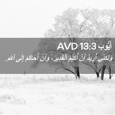 Picture 02 - أَيُّوبَ 13:3 AVD - وَلَكِنِّي أُرِيدُ أَنْ - Bible Verse Picture