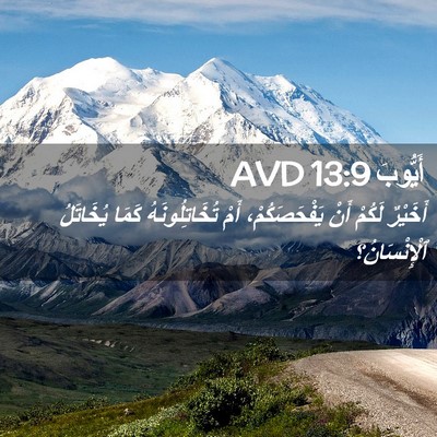 Picture 02 - أَيُّوبَ 13:9 AVD - أَخَيْرٌ لَكُمْ أَنْ - Bible Verse Picture