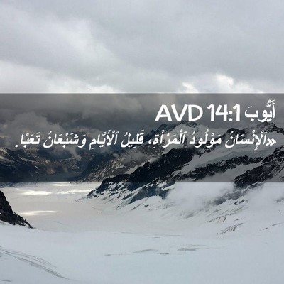 Picture 02 - أَيُّوبَ 14:1 AVD - «اَلْإِنْسَانُ مَوْلُودُ - Bible Verse Picture