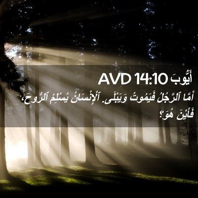 Picture 02 - أَيُّوبَ 14:10 AVD - أَمَّا ٱلرَّجُلُ - Bible Verse Picture