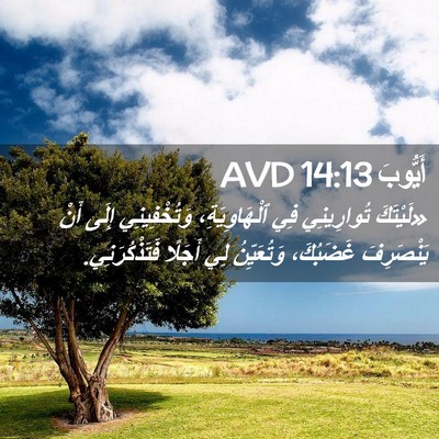 Picture 02 - أَيُّوبَ 14:13 AVD - «لَيْتَكَ تُوارِينِي فِي - Bible Verse Picture