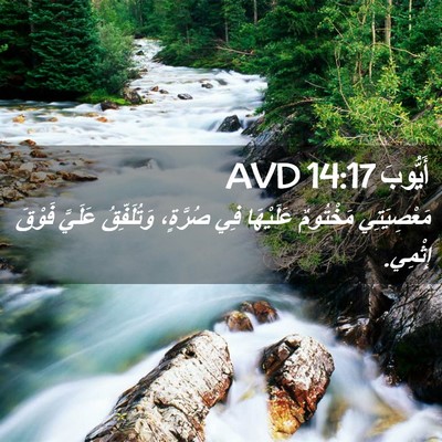 Picture 02 - أَيُّوبَ 14:17 AVD - مَعْصِيَتِي مَخْتُومٌ - Bible Verse Picture