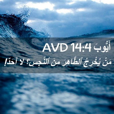 Picture 02 - أَيُّوبَ 14:4 AVD - مَنْ يُخْرِجُ ٱلطَّاهِرَ - Bible Verse Picture