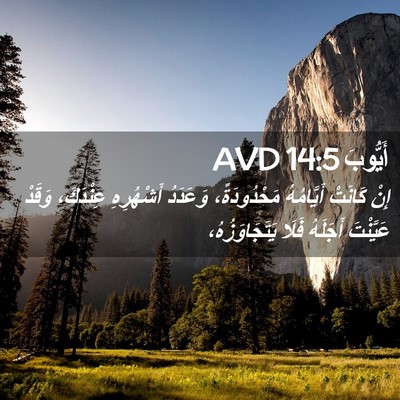 Picture 02 - أَيُّوبَ 14:5 AVD - إِنْ كَانَتْ أَيَّامُهُ - Bible Verse Picture