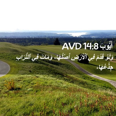 Picture 02 - أَيُّوبَ 14:8 AVD - وَلَوْ قَدُمَ فِي - Bible Verse Picture